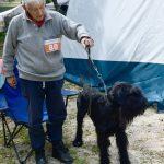 cacib psi pas 15