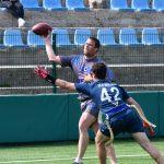 sharks 11