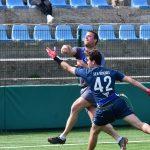 sharks 12