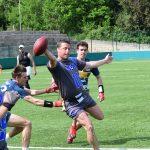 sharks 14