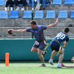 sharks 17