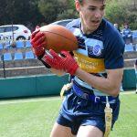 sharks 19