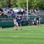 sharks 20
