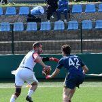 sharks 28