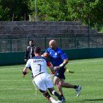 sharks 32