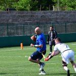 sharks 33