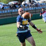 sharks 36