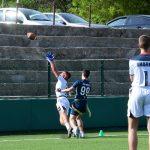 sharks 42