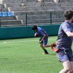 sharks 9
