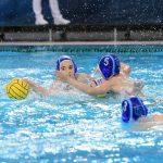 tomo jadran hn mladost20
