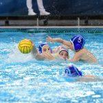 tomo jadran hn mladost21