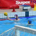 tomo udovicic023
