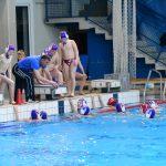 tomo udovicic032 1