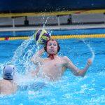 tomo udovicic060