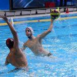 tomo udovicic086