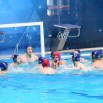 tomo udovicic127