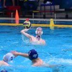 tomo udovicic295