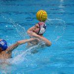 tomo udovicic368