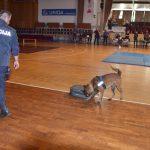 Dan otvorenih vrata Policije 13