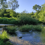 Kreirajmo zajedno Konavoski eko park 2