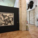 05 KIvanisin Museo Civico di Storia Naturale Milano