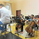 DSO u ljetnikovcu Pucic 1
