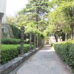 DSO u ljetnikovcu Pucic 19