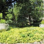 DSO u ljetnikovcu Pucic 20