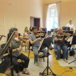 DSO u ljetnikovcu Pucic 7