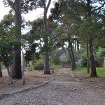 Gradac 7