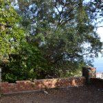 Gradac 9