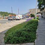 Vrtlar uredio zelene povrsine na gradskom podrucju 5