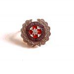 hgss dodijelio srebrni znak zoranu ateljevicu3