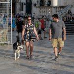 stradun modna spica 006