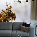 calligaris 2023 1