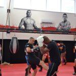 gladiator seminar overeem delija 22