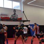gladiator seminar overeem delija 23
