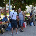 placa gruz voce povrce 8