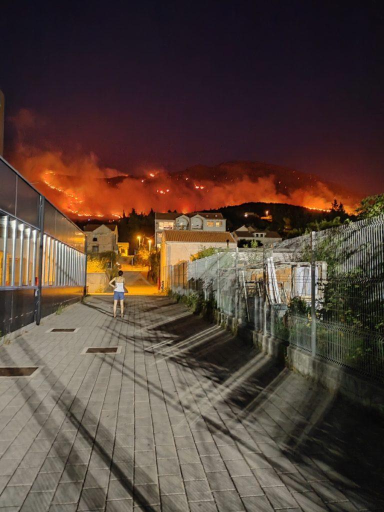 pozar zupa ane paskicevic