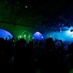 fedde le grand revelin 11