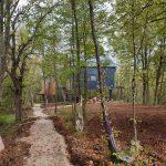 ivona ercegovic tree elements 28