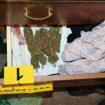 marihuana 1