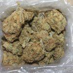 policija droga slivno4