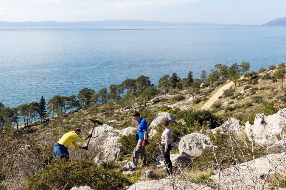 valamar stabla