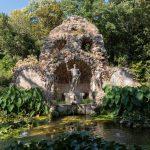 arboretum 46