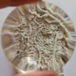 art radionica lazareti elia1