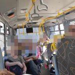 autobus sipan 2 1