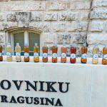 javna rasprava brza cesta studija utjecaja1 24