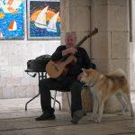 promocija zbirka pjesama sponza 8