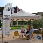 solarna elektrana 4